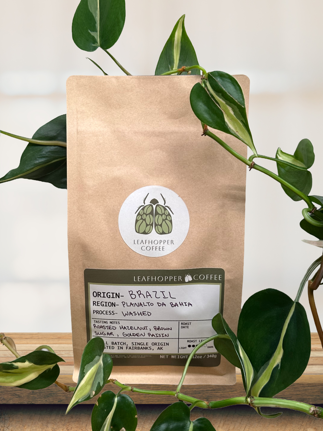 Brazil - Planalto da Bahia